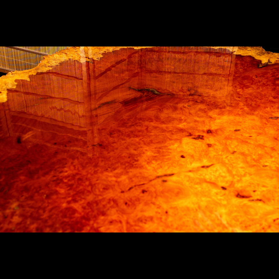 花梨瘤の座卓 C0643